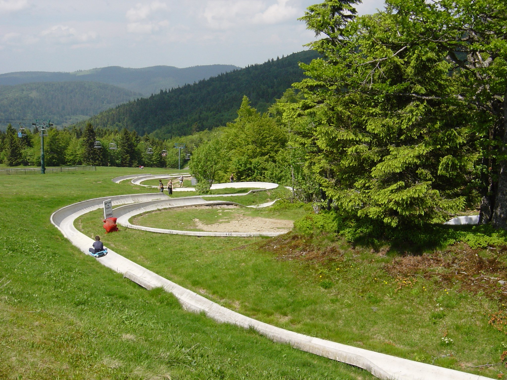 Luge d'été Col de la Schlucht